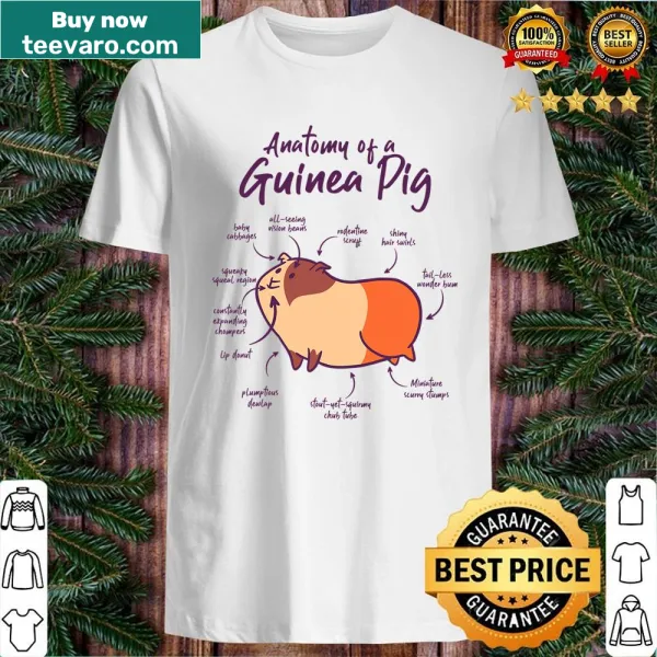 Cute shirt with graphic anatomy of a guinea pig