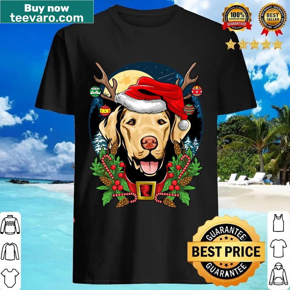 Chesapeake Bay Retriever wearing reindeer antlers and Santa hat