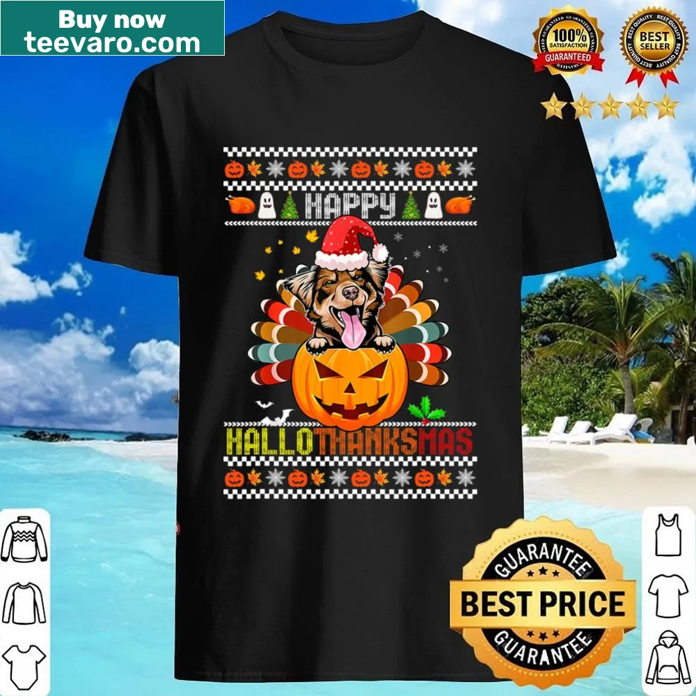 Australian Shepherd with pumpkins and turkeys shirt