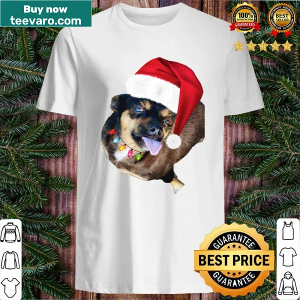 Cute puppy in Santa hat surrounded by Christmas lights