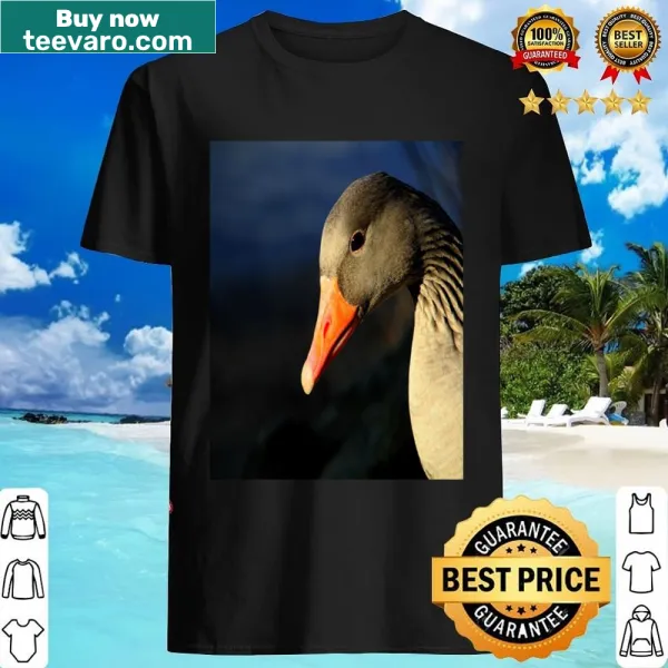 Illustrated shirt featuring birds in a whimsical design