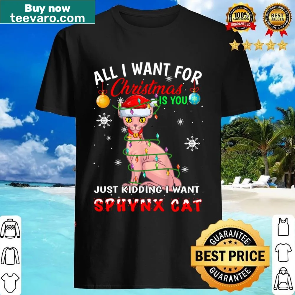 Cute Christmas sphynx cat shirt with festive accessories