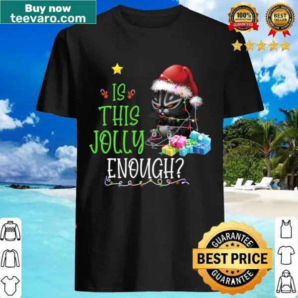 Funny cat wearing a Santa hat with humorous sayings