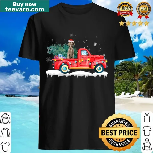 Weimaraner dog shirt with Christmas tree lights design