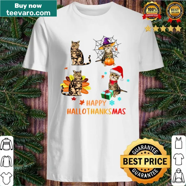 Funny graphic combining Halloween, Thanksgiving, and Christmas themes with a cat