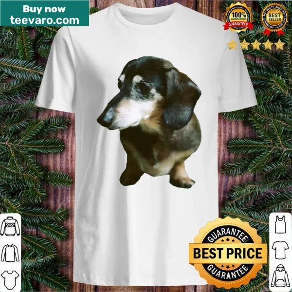 Illustrative graphic of a dog moment on a t-shirt