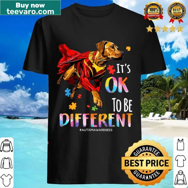 Kids shirt featuring super pets and the message 'It's Ok To Be Different' promoting autism awareness