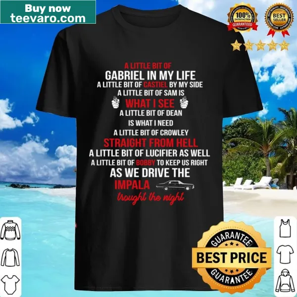 Stylish shirt featuring a unique graphic inspired by Le Bit Of Gabriel