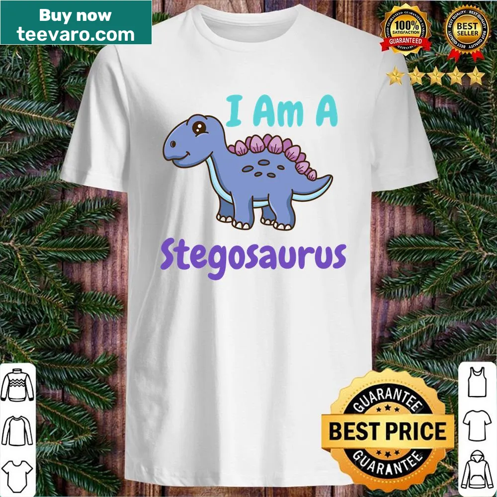 Cute stegosaurus shirt ideal for kids who love dinosaurs
