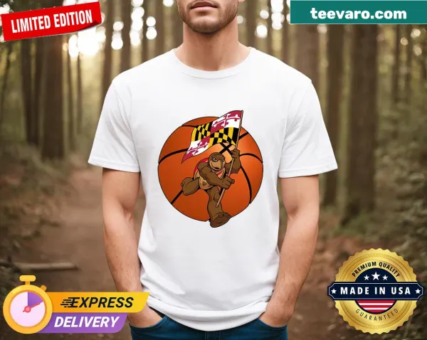 Funny turtle basketball t-shirt with cartoon embroidery