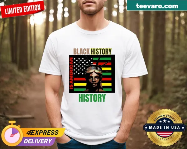 Embroidered t-shirt with 'Black History Is American History' text