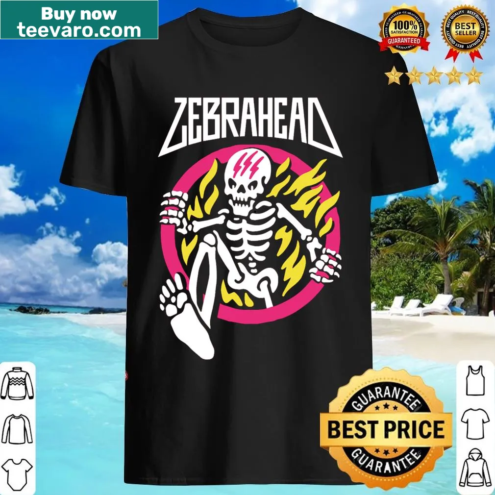 Vintage-inspired T-shirt for Zebrahead fans — on a men's t-shirt
