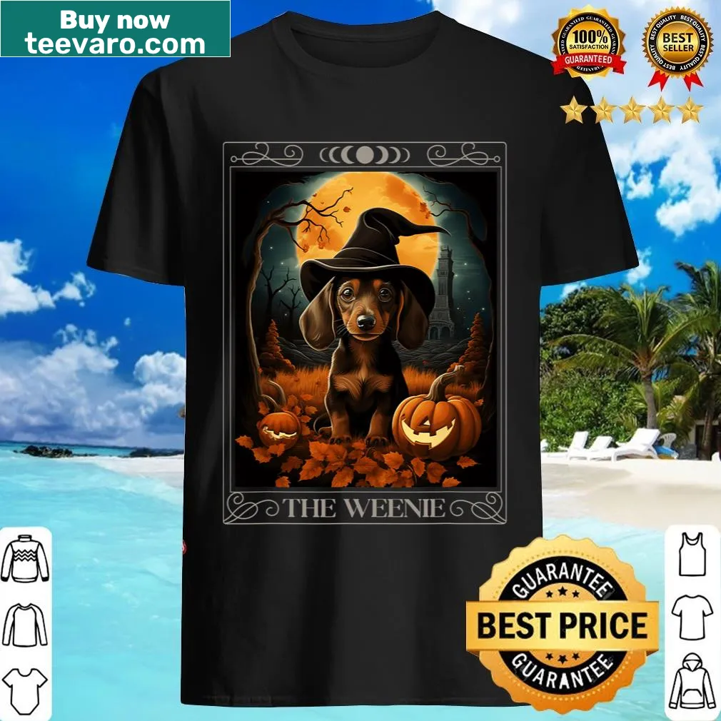 Cartoon dachshund witch with pumpkin Halloween T-shirt — on a men's t-shirt