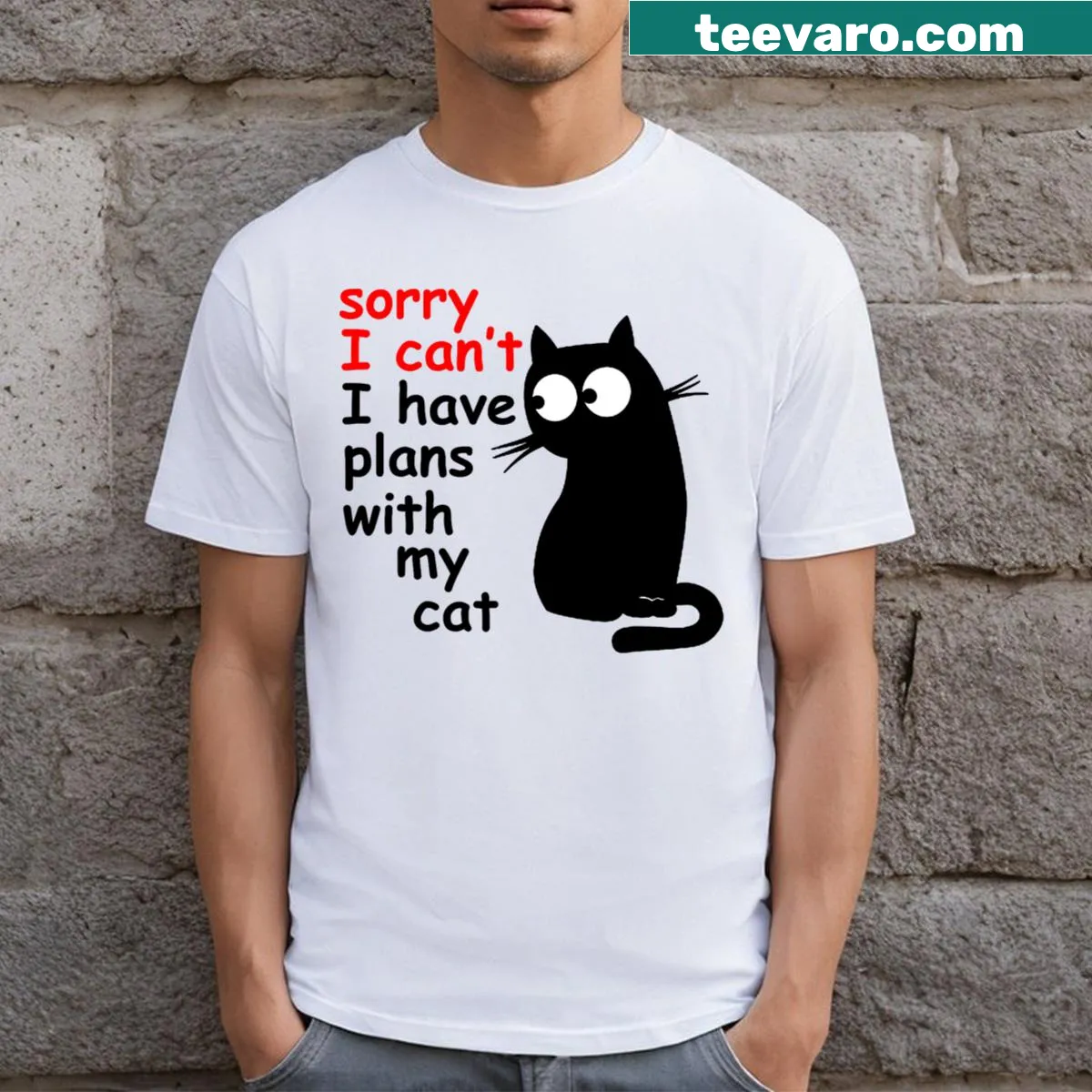 Sarcastic t-shirt declaring plans with a cat — on a men's t-shirt