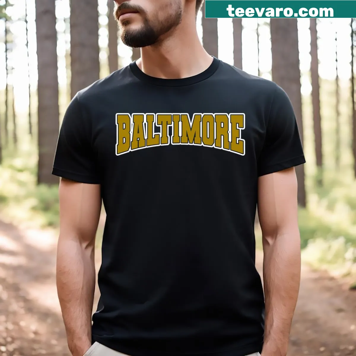 Vintage Baltimore City Flag t-shirt for kids with sporty design — on a men's t-shirt
