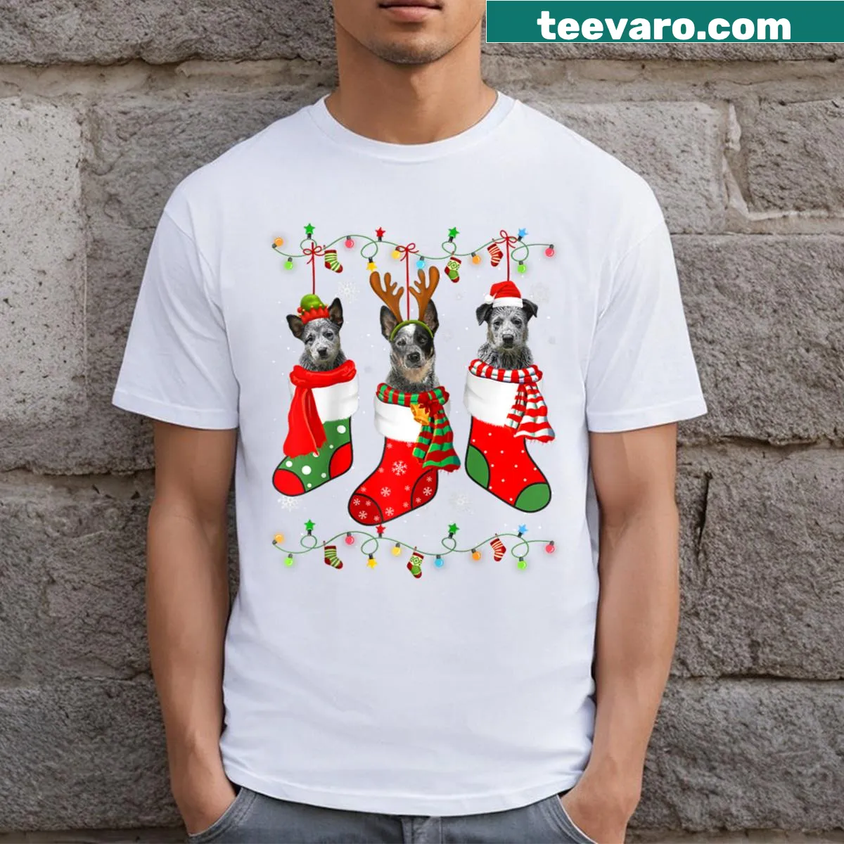 Christmas raglan tee featuring Australian Cattle Dogs with Santa hats and lights — on a men's t-shirt