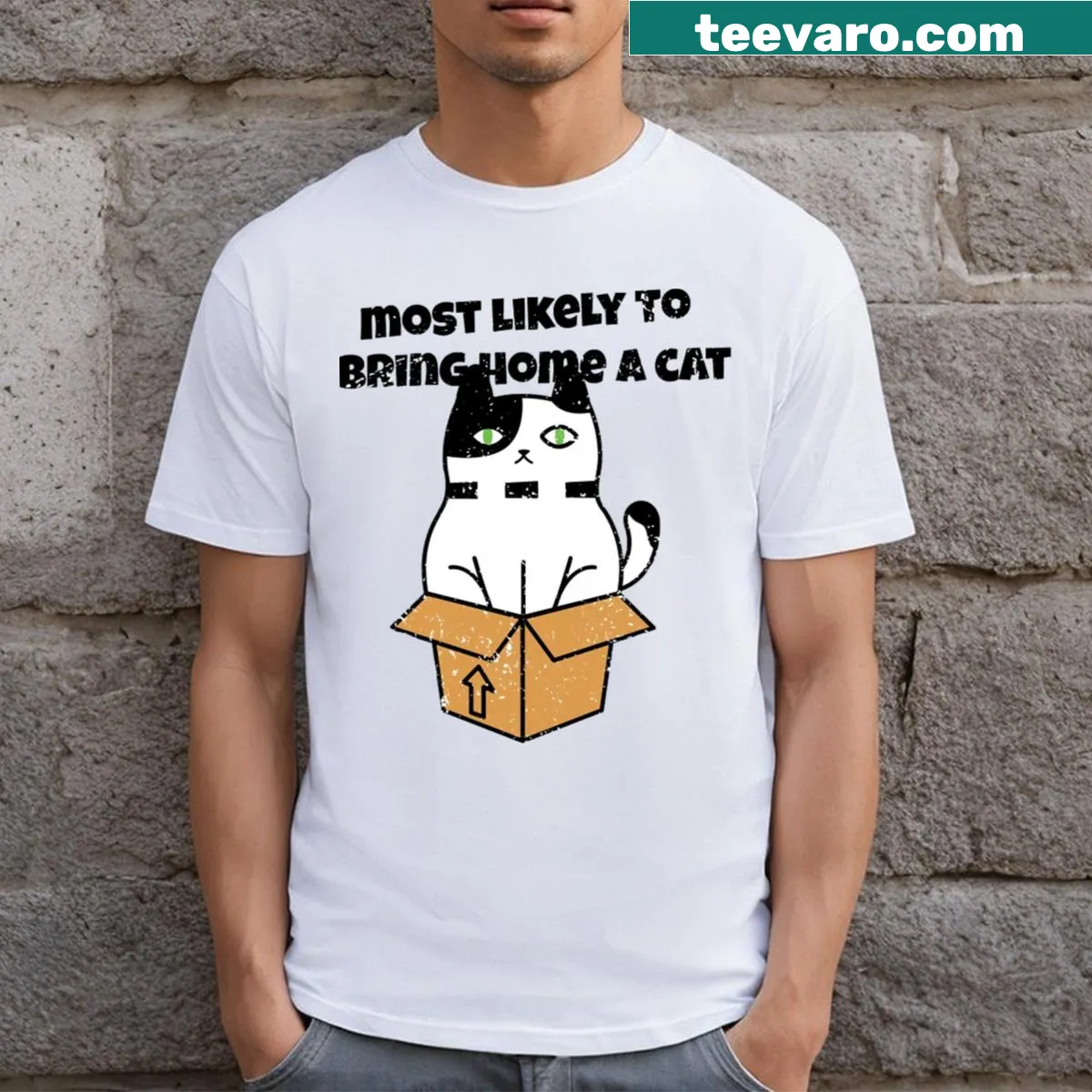 Vintage retro t-shirt for cat lovers with humorous saying — on a men's t-shirt