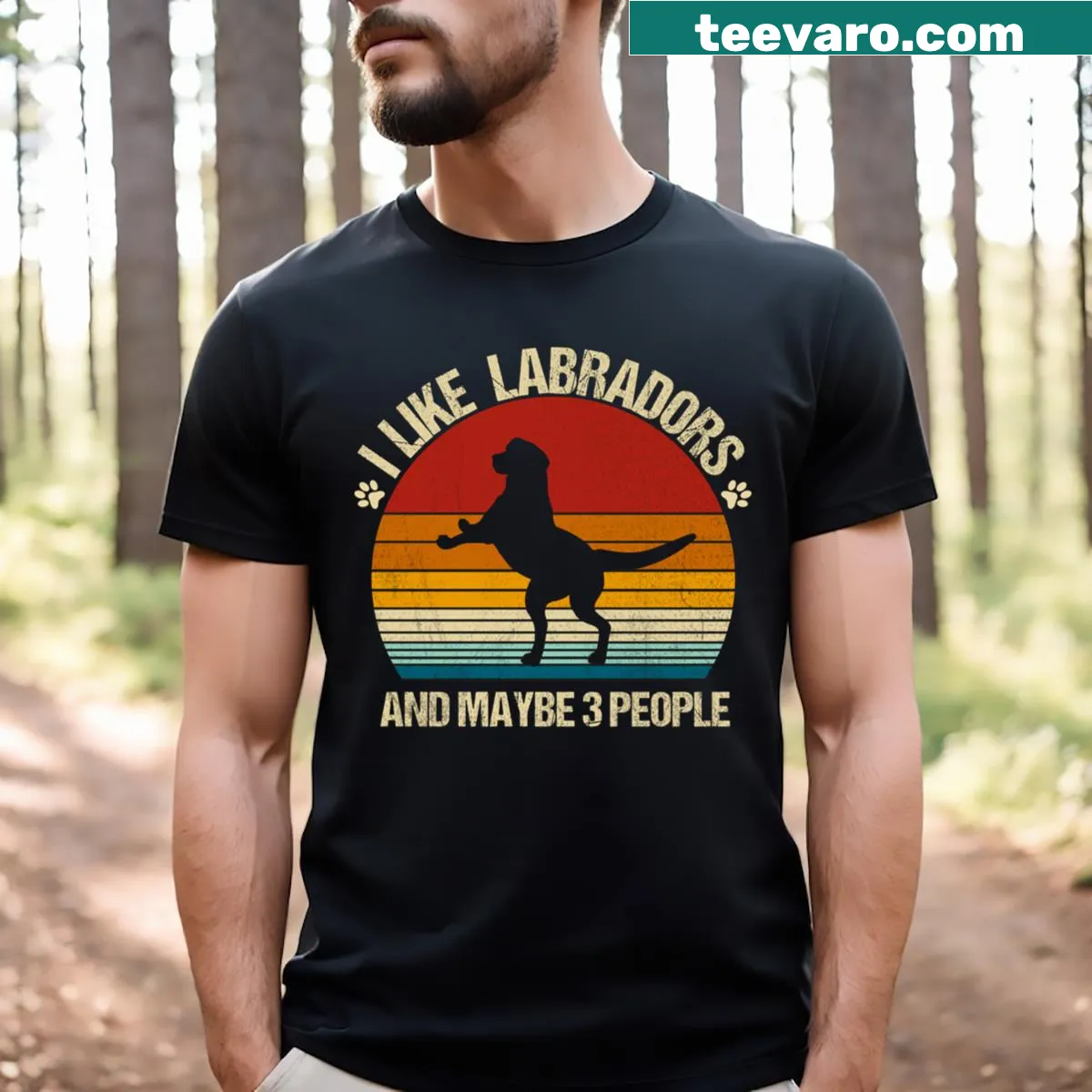 Funny t-shirt with 'I Like Labradors And Maybe 3 People' text — on a men's t-shirt