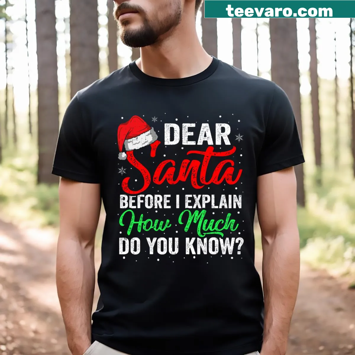 Funny Christmas T-shirt with 'Dear Santa, I Can Explain' graphic — on a men's t-shirt