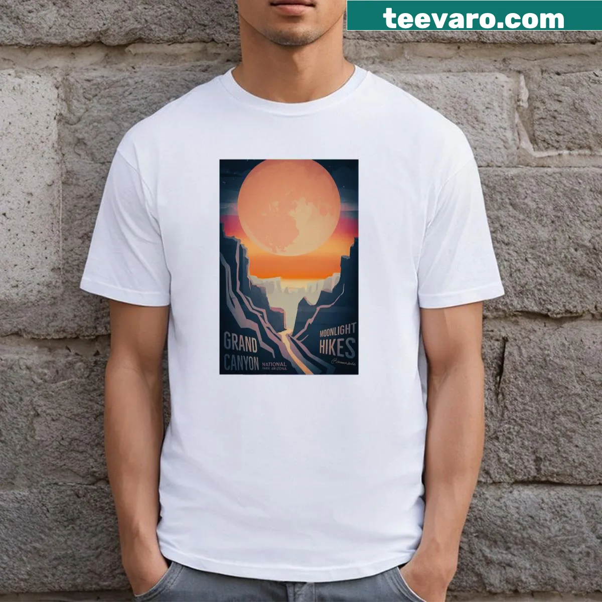 Artistic Grand Canyon graphic on a travel-themed T-shirt — on a men's t-shirt