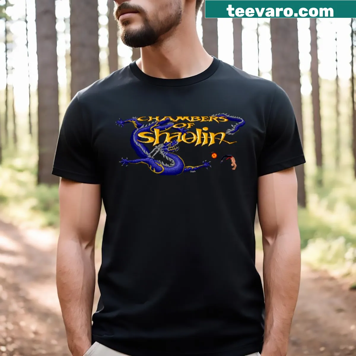 Illustration of Shaolin martial arts elements on a T-shirt — on a men's t-shirt