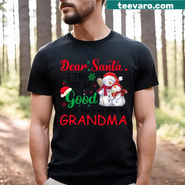 Whimsical Christmas T-shirt with humorous Santa message