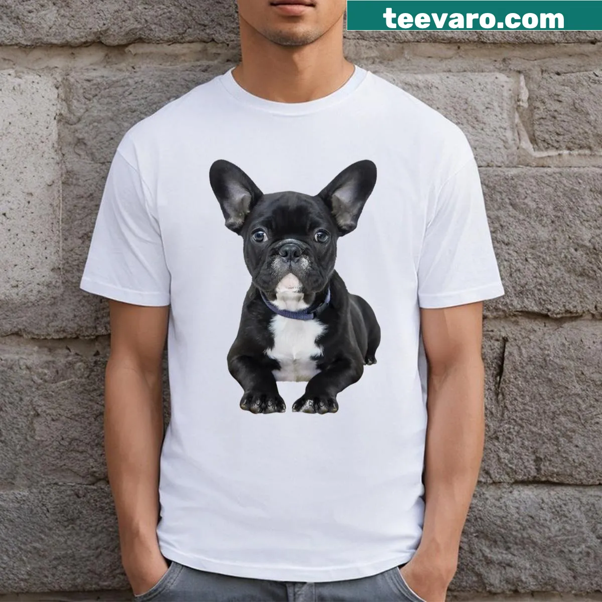 Illustration of a black French Bulldog on a T-shirt — on a men's t-shirt