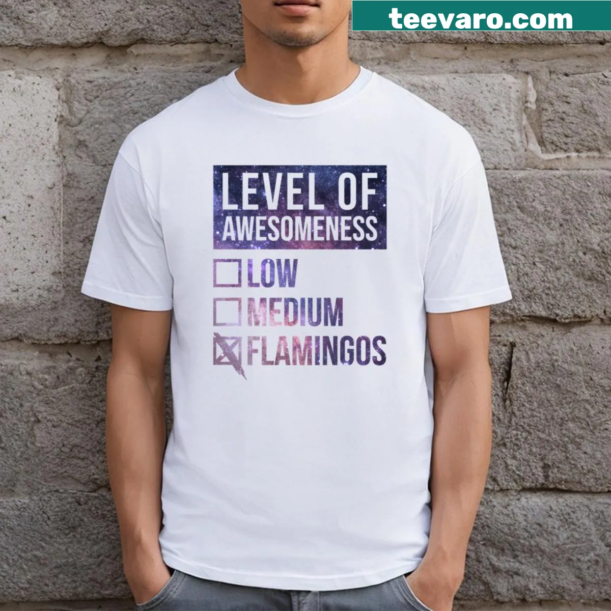 Cartoon-style T-shirt featuring a playful flamingo design — on a men's t-shirt