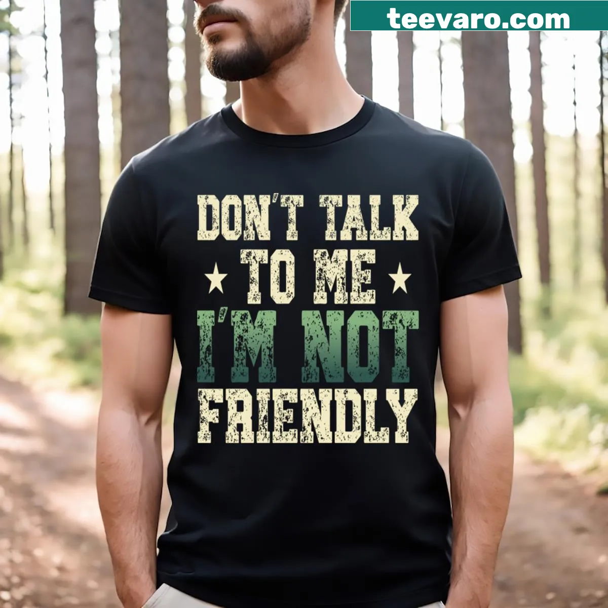 Sarcastic quote t-shirt saying 'Dont Talk To Me I'm Not Friendly' — on a men's t-shirt