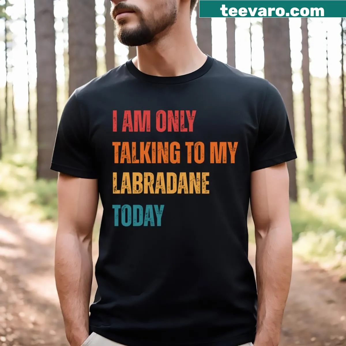 Funny T-shirt stating I'm only talking to my Labradane — on a men's t-shirt