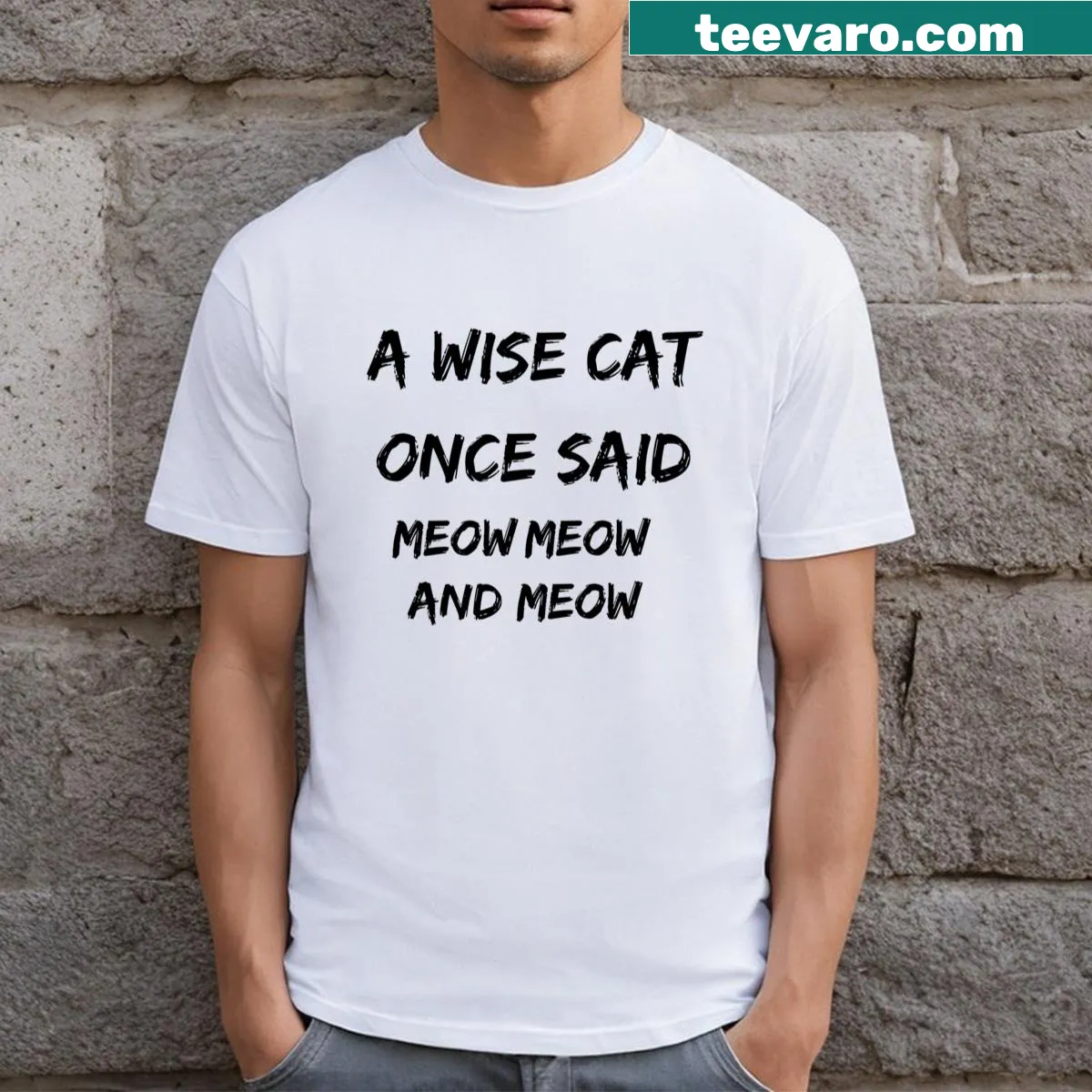 Funny T-shirt with the phrase 'A Wise Cat Once Said Meow Meow And Meow' — on a men's t-shirt