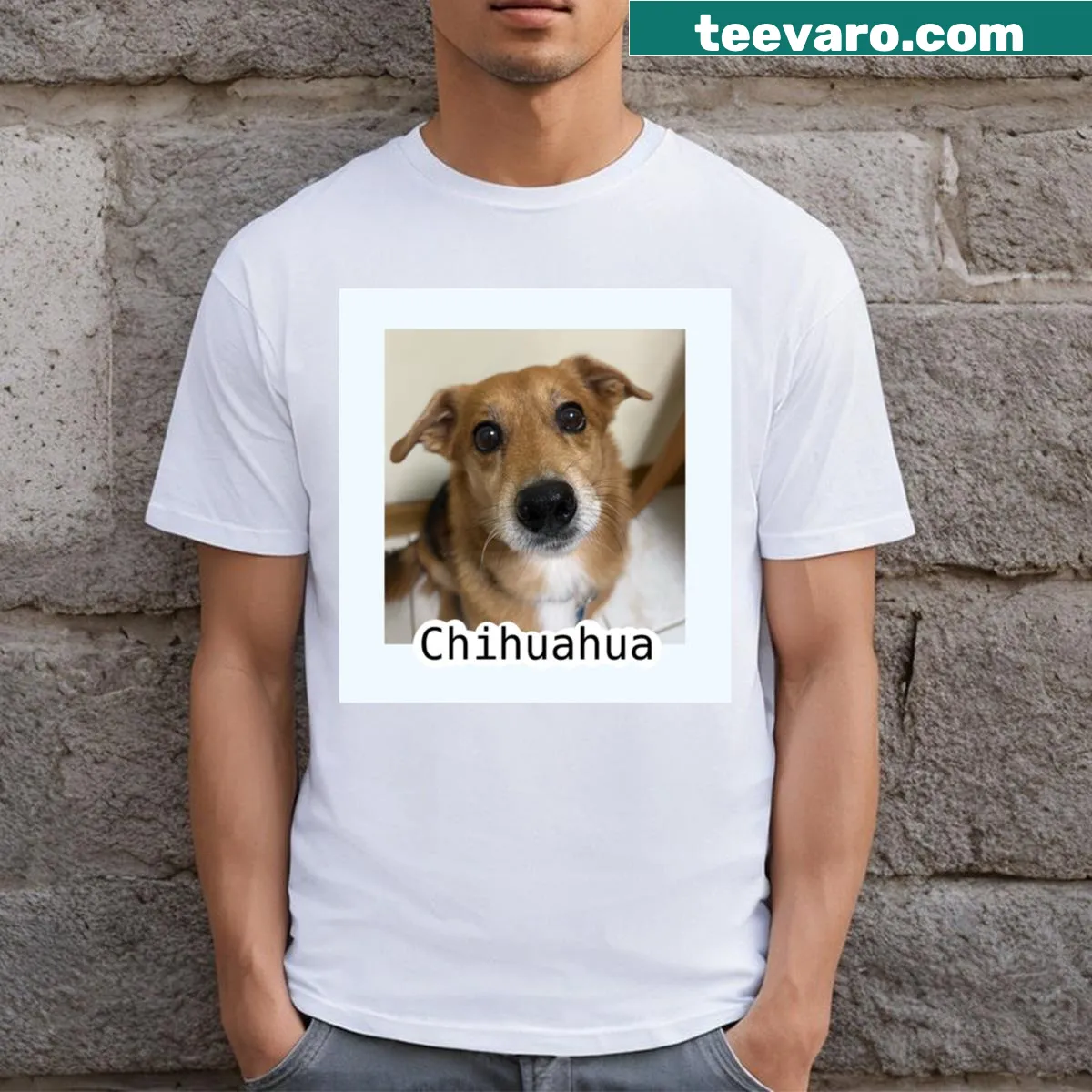 Illustration of a Chihuahua on a playful T-shirt — on a men's t-shirt