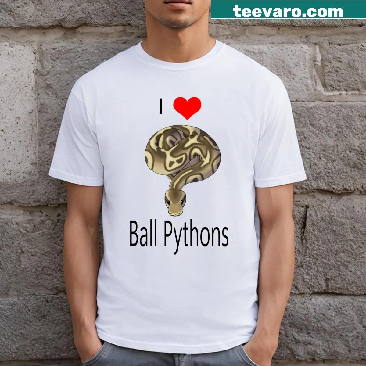 Illustration of a ball python on a T-shirt — on a men's t-shirt
