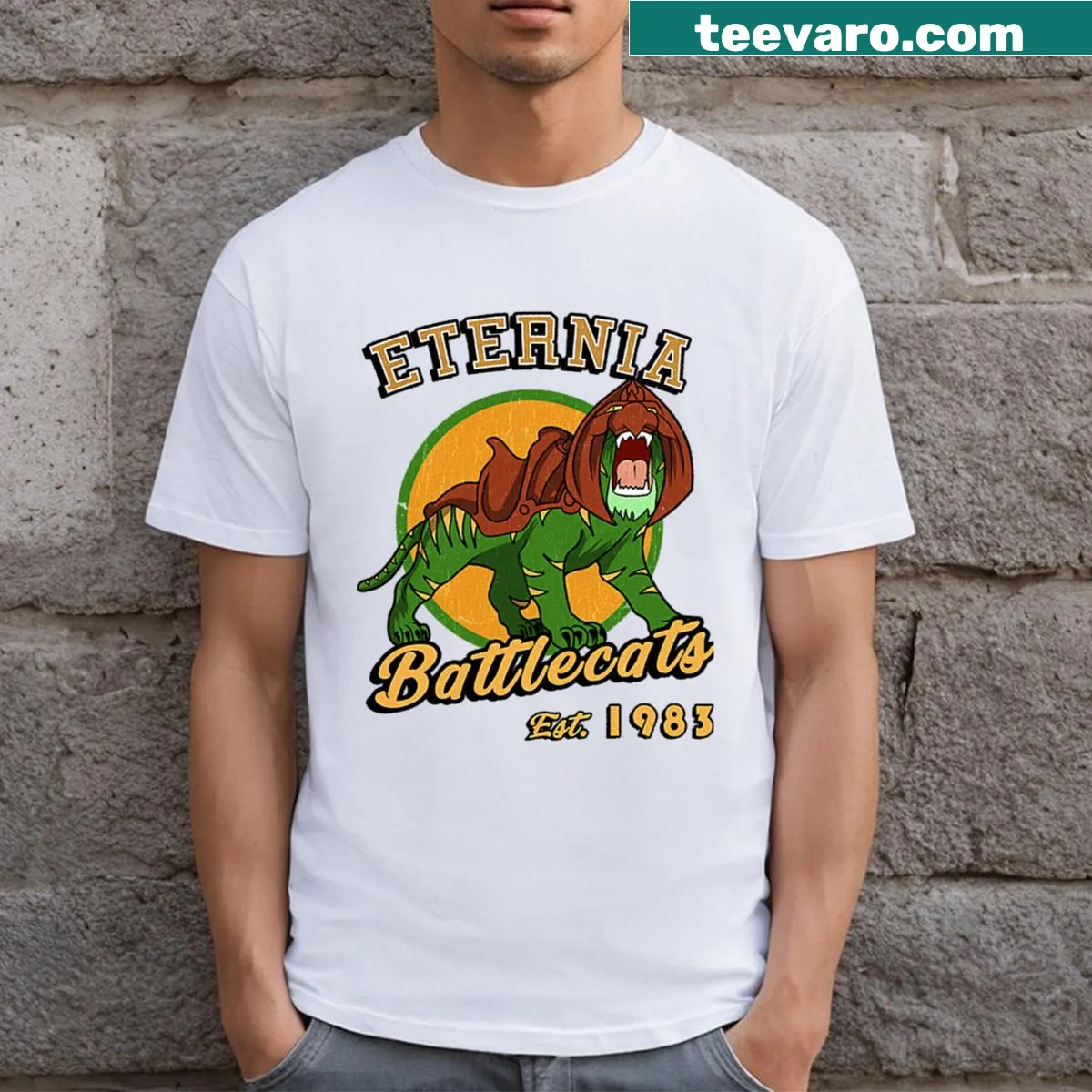 Masters of the Universe themed t-shirt with iconic character graphics — on a men's t-shirt