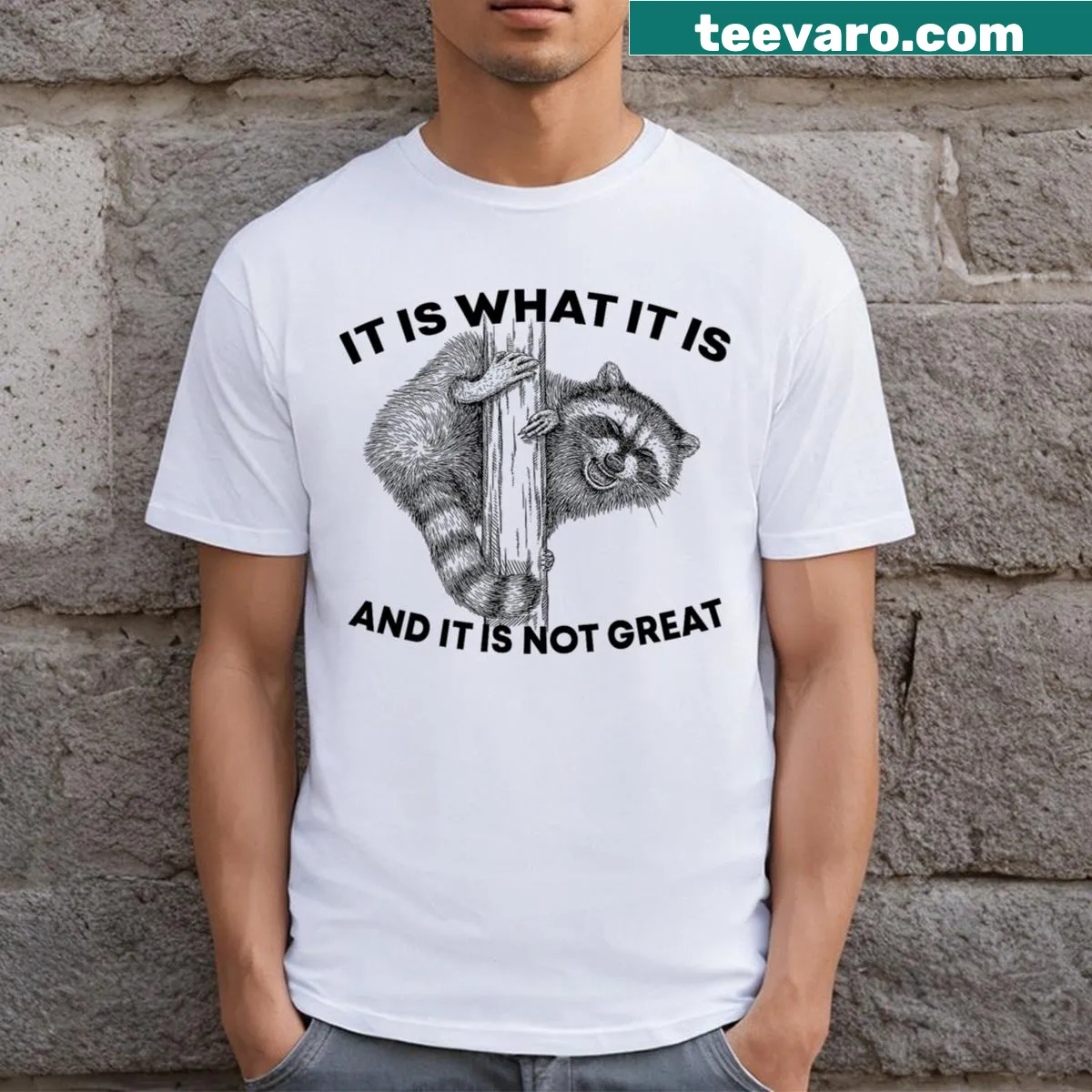 Funny raccoon t-shirt with text: 'It Is What It Is And It Is Not Great.' — on a men's t-shirt
