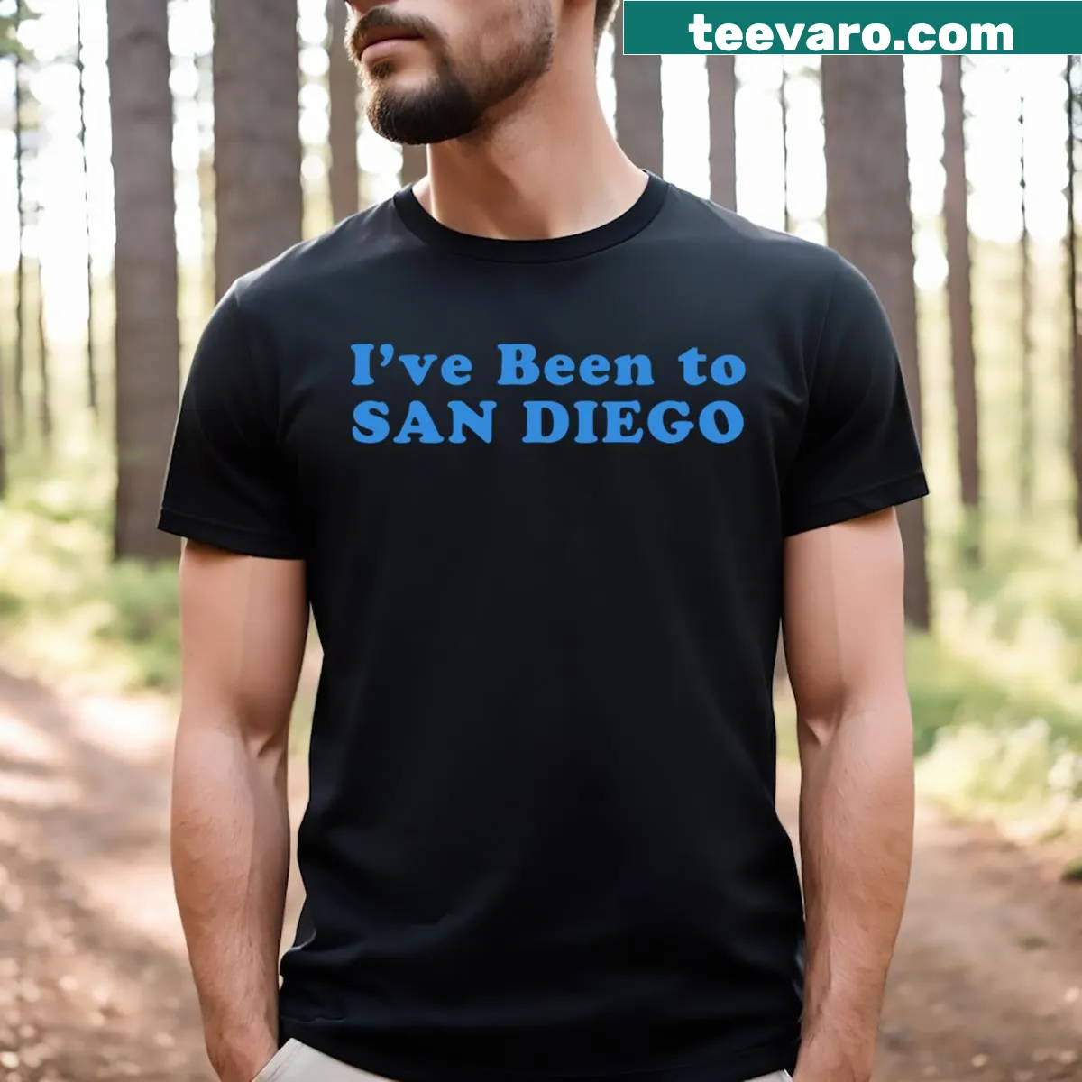 Typographic design featuring San Diego and its sports teams on a t-shirt. — on a men's t-shirt