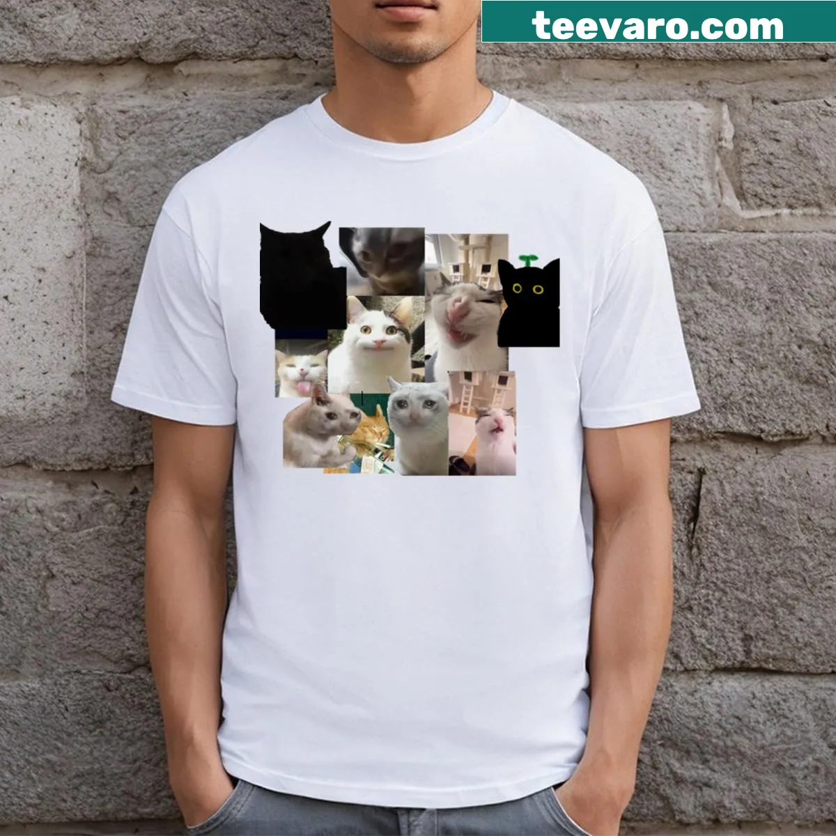 Collage of funny cat memes on T-shirt — on a men's t-shirt
