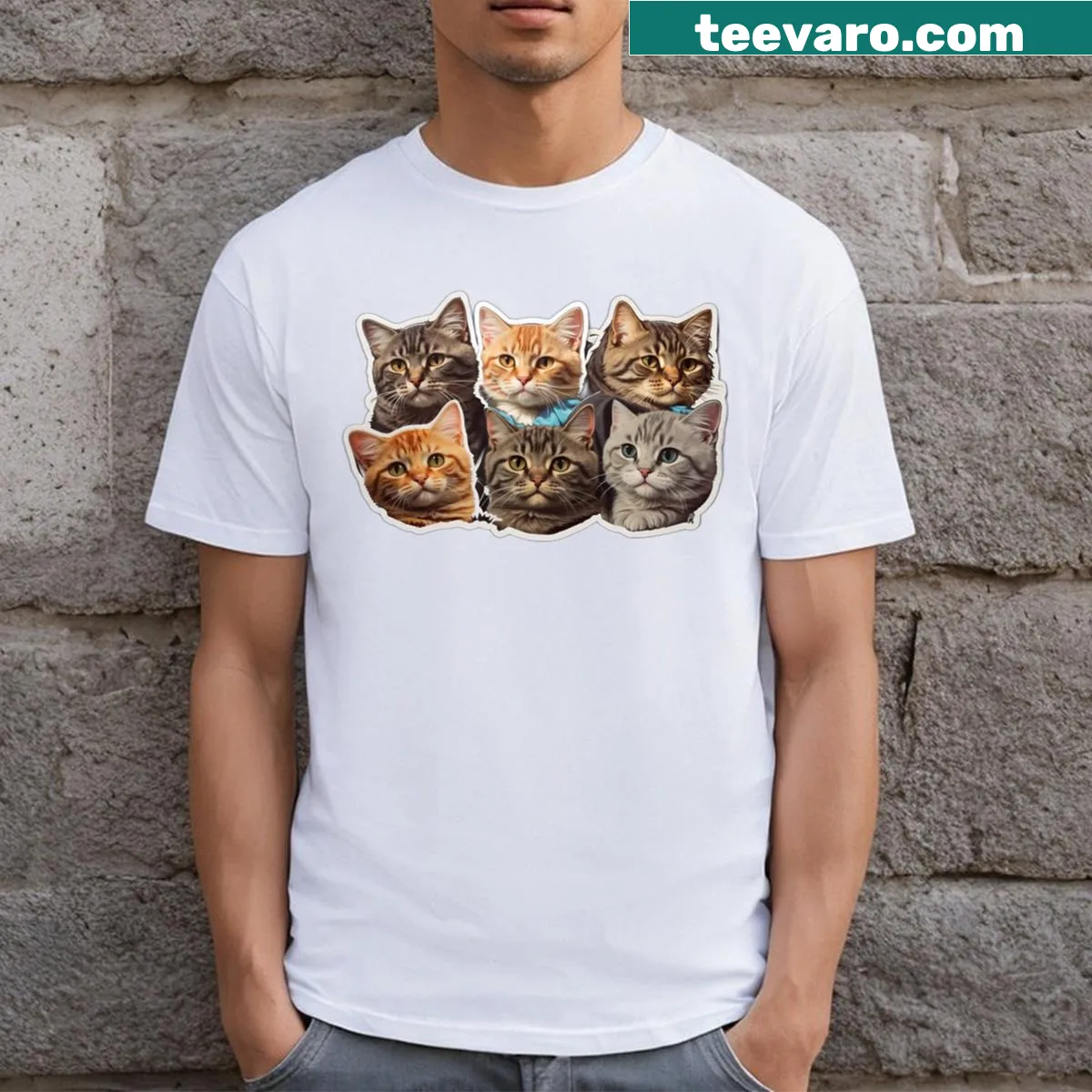 Funny meme cat-themed t-shirt with humorous graphics — on a men's t-shirt