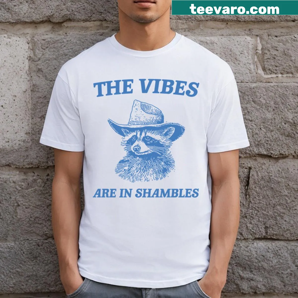 Raccoon graphic with the phrase 'The Vibes Are In Shambles' T-shirt. — on a men's t-shirt