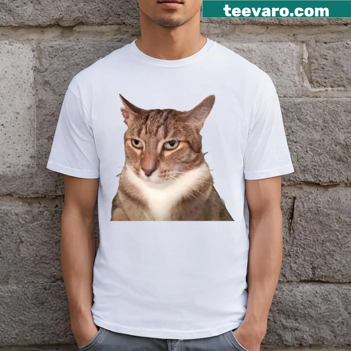 Illustration of Tyga the cat on a fun t-shirt — on a men's t-shirt