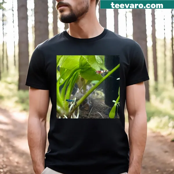 Illustration of Caridina shrimp on t-shirt