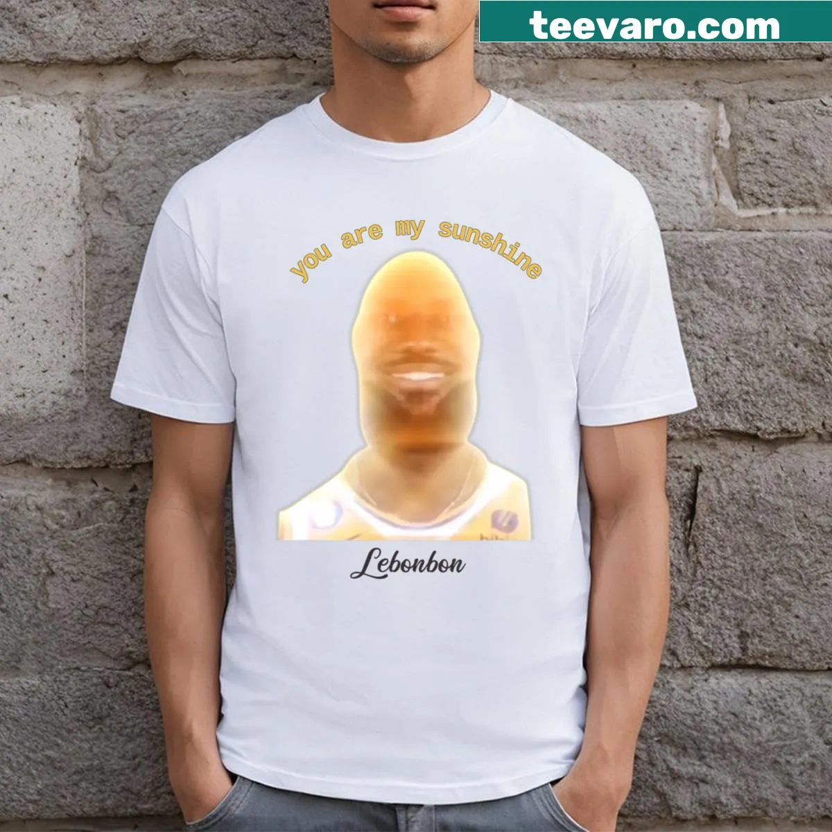 Funny meme-inspired design T-shirt with 'You Are My Sunshine' text — on a men's t-shirt