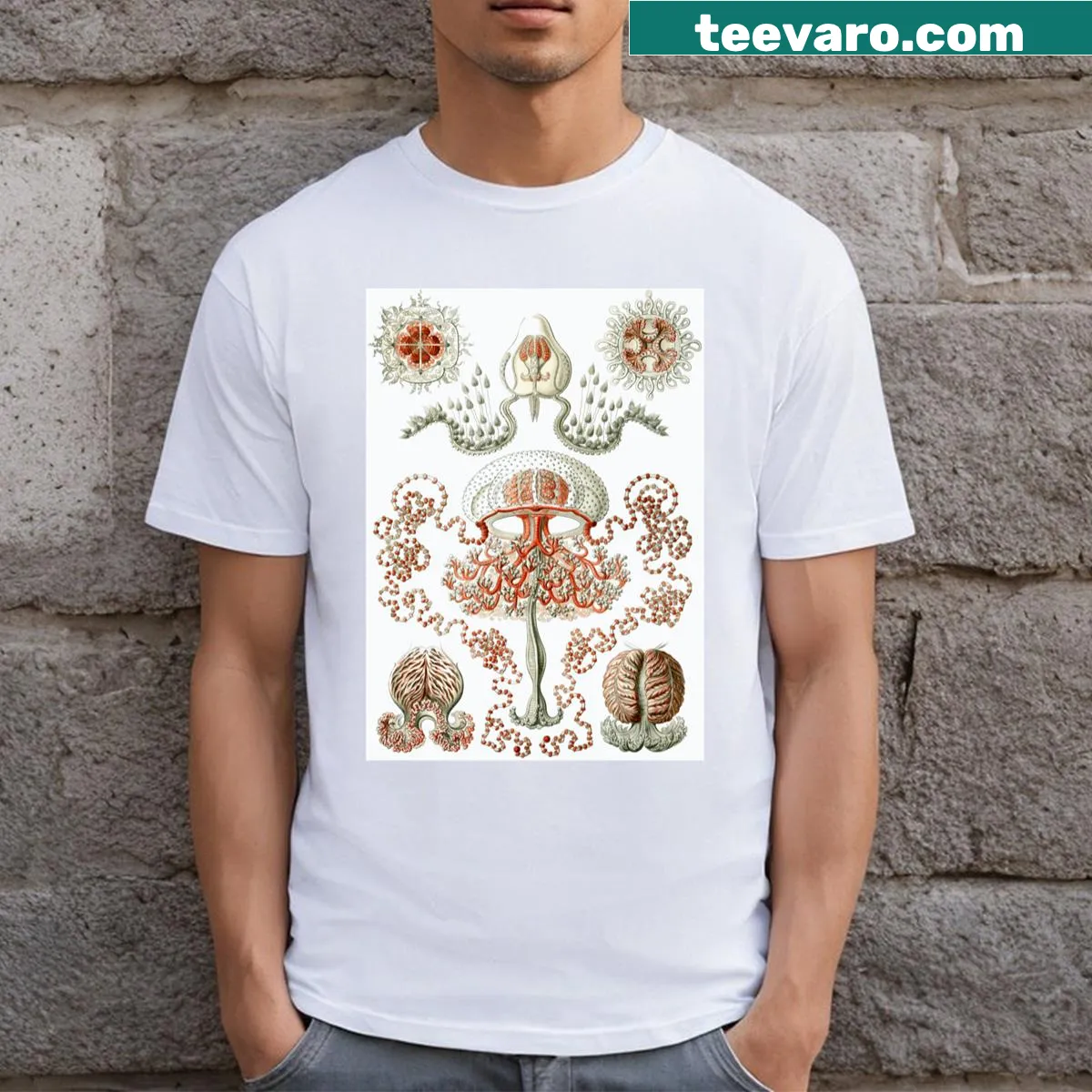 Playful aquatic life illustrations on a t-shirt — on a men's t-shirt