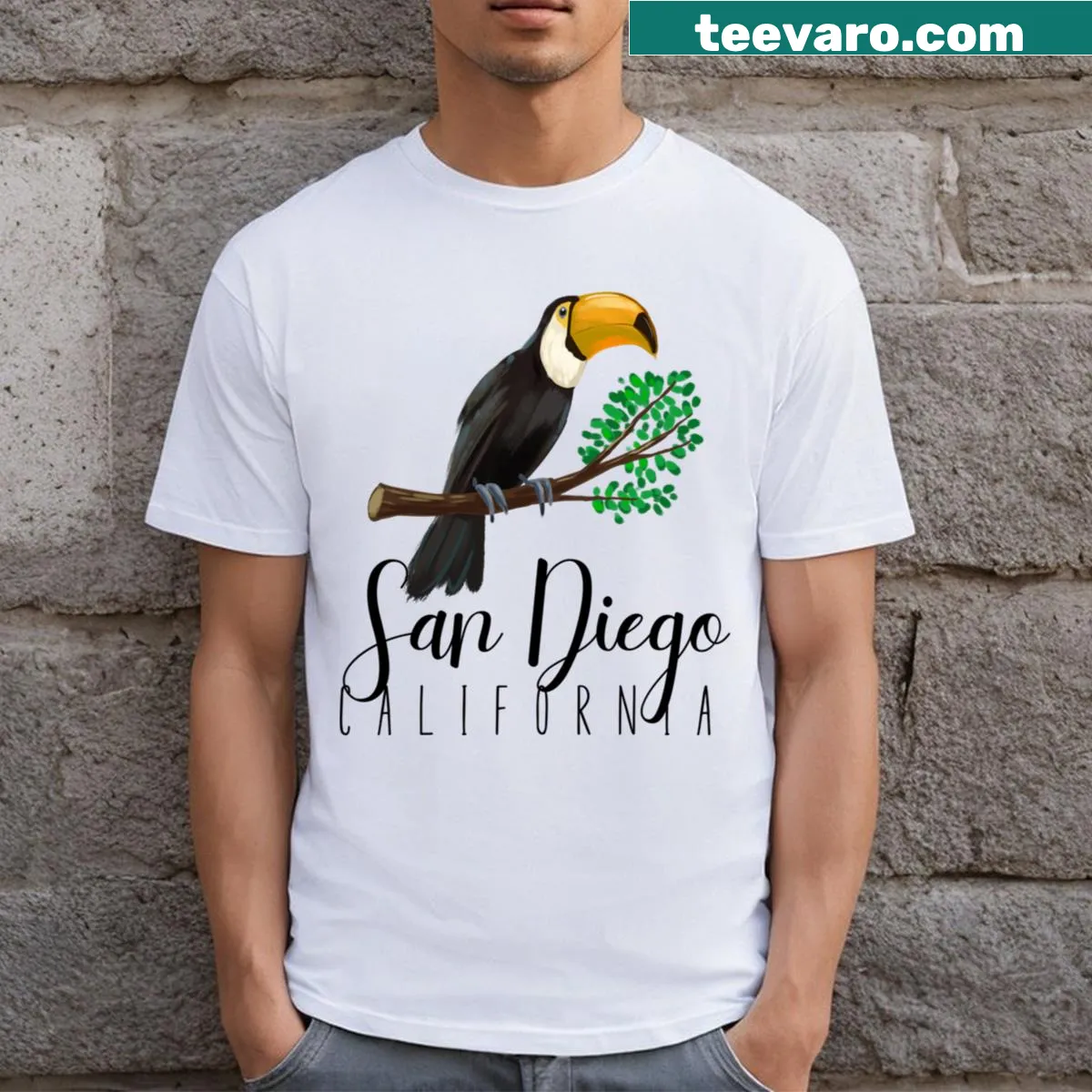 Graphic T-shirt celebrating the essence of San Diego, California — on a men's t-shirt