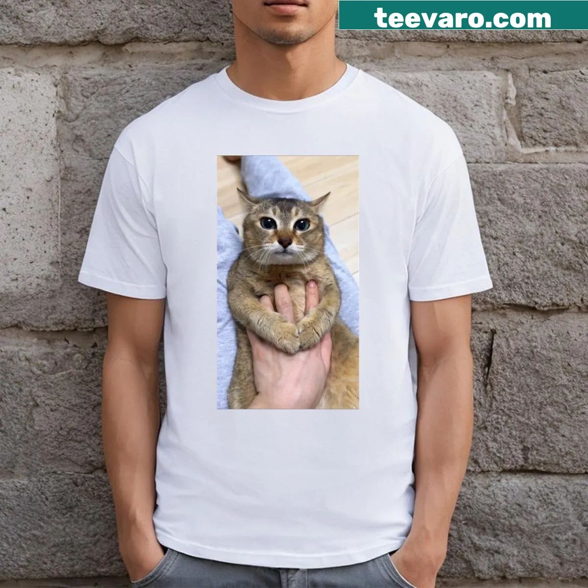 Playful cat T-shirt with 'Tole Tole Vro' graphic. — on a men's t-shirt