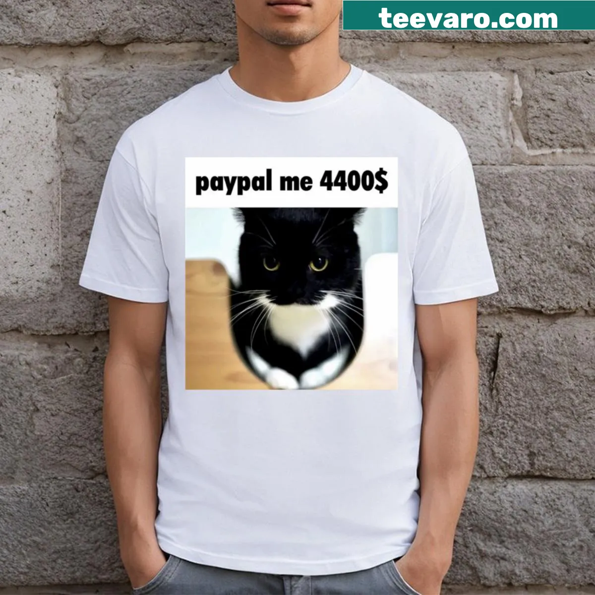 Funny cat meme printed on a t-shirt for cat lovers — on a men's t-shirt