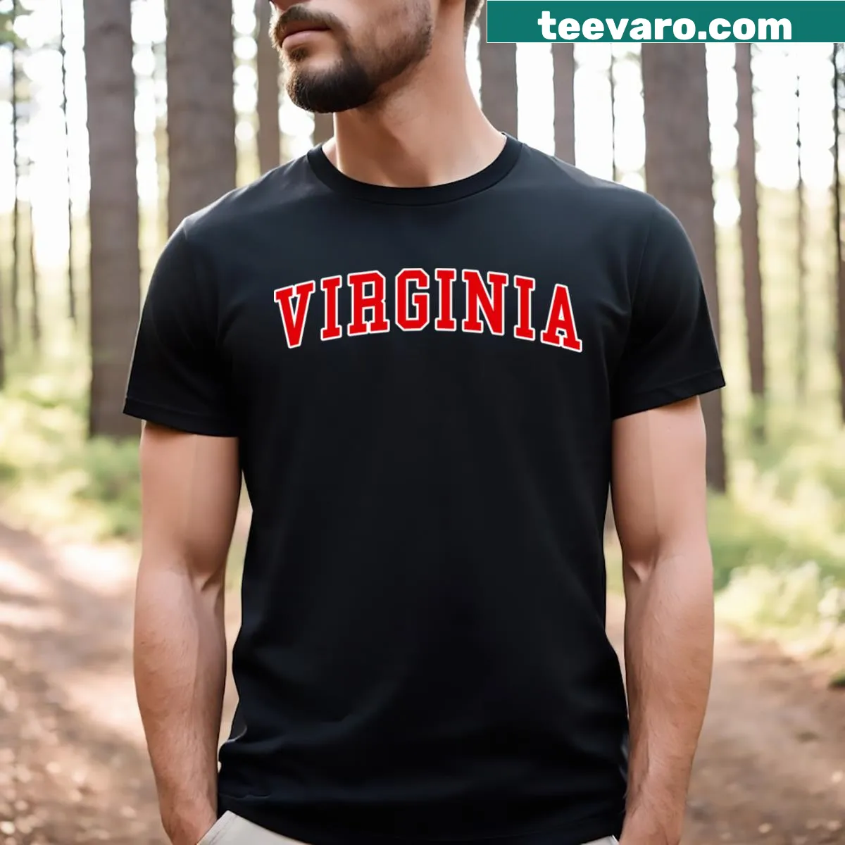 Graphic T-shirt celebrating the beauty and charm of Virginia — on a men's t-shirt