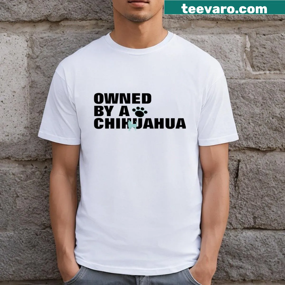 Playful t-shirt with text Owned By A Chihuahua — on a men's t-shirt