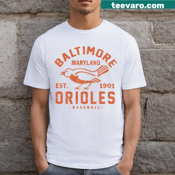 Vintage distressed Baltimore Orioles tee with retro logo