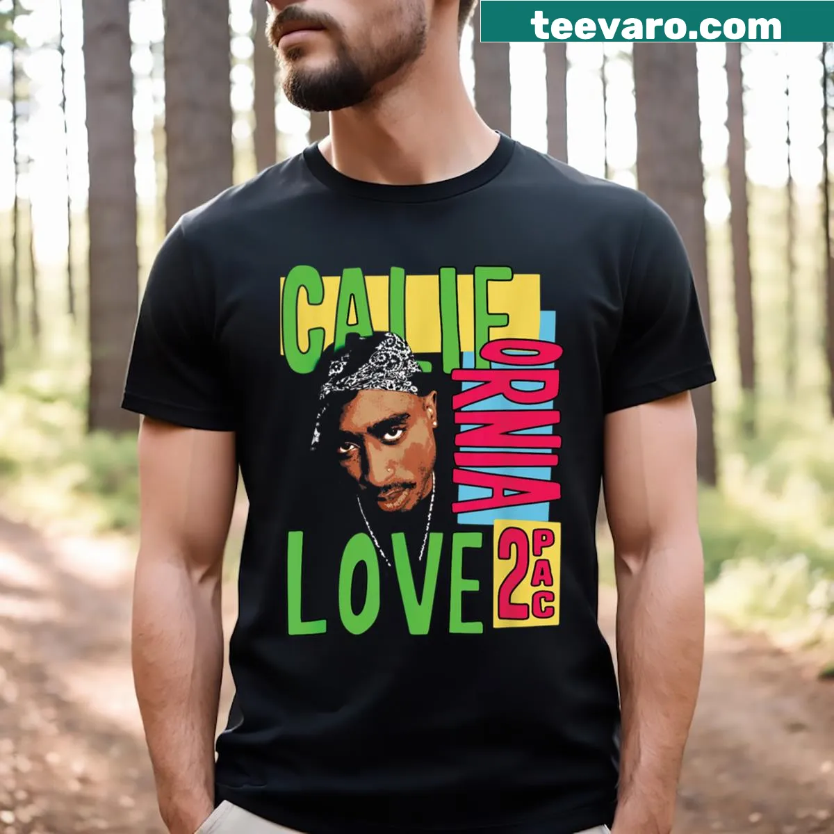 California themed T-shirt capturing the spirit of the state — on a men's t-shirt